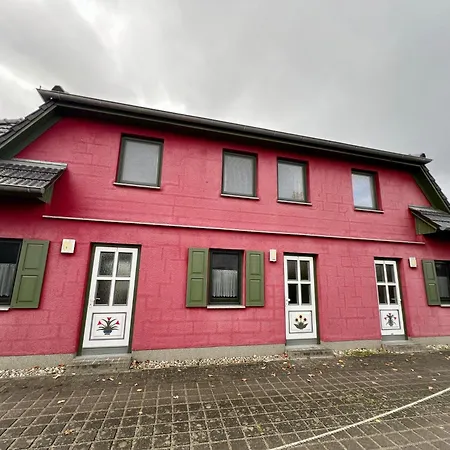 Matrosenkoje Daire *